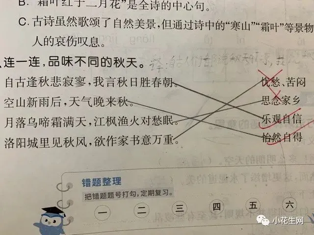 为什么篮球训练中需要多样化的策略_0